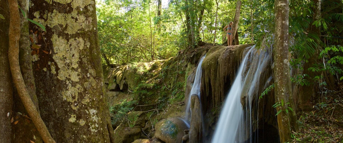Cascada de Roberto Barrios que incluye una catarata y un río o arroyo y también una mujer