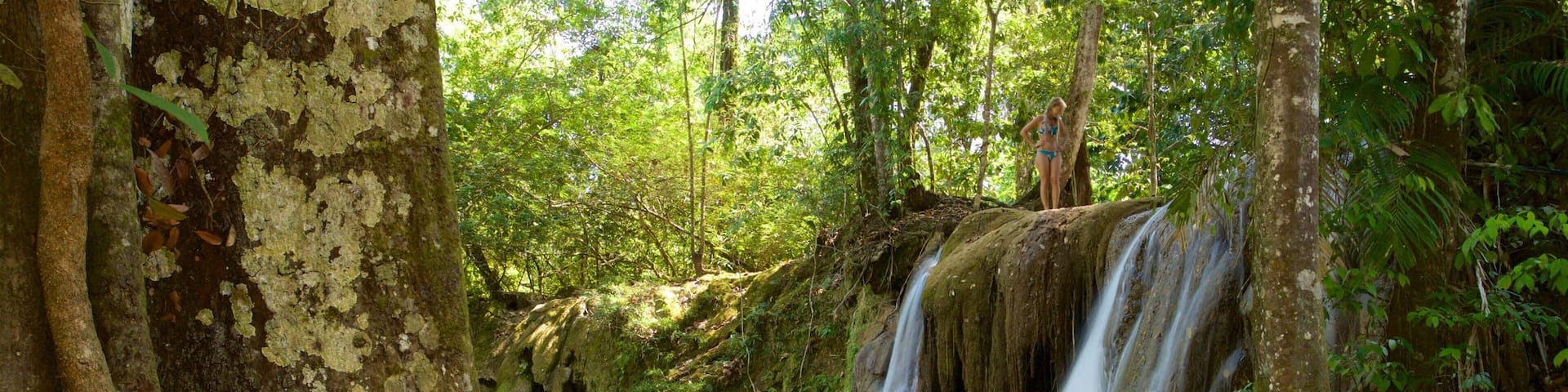 Cascada de Roberto Barrios que incluye un río o arroyo y una cascada y también una mujer