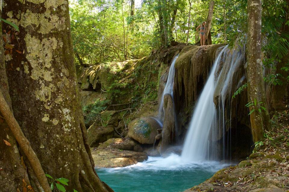 A waterfall in a forested area with moss-covered rocks and a clear pool at the base.