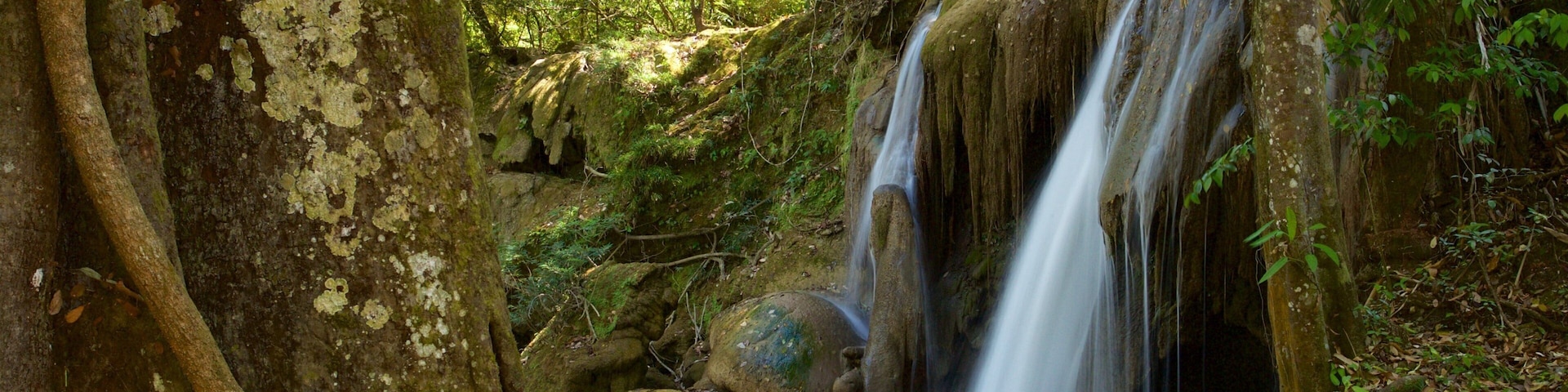 Cascada de Roberto Barrios featuring a river or creek and a cascade as well as an individual femail