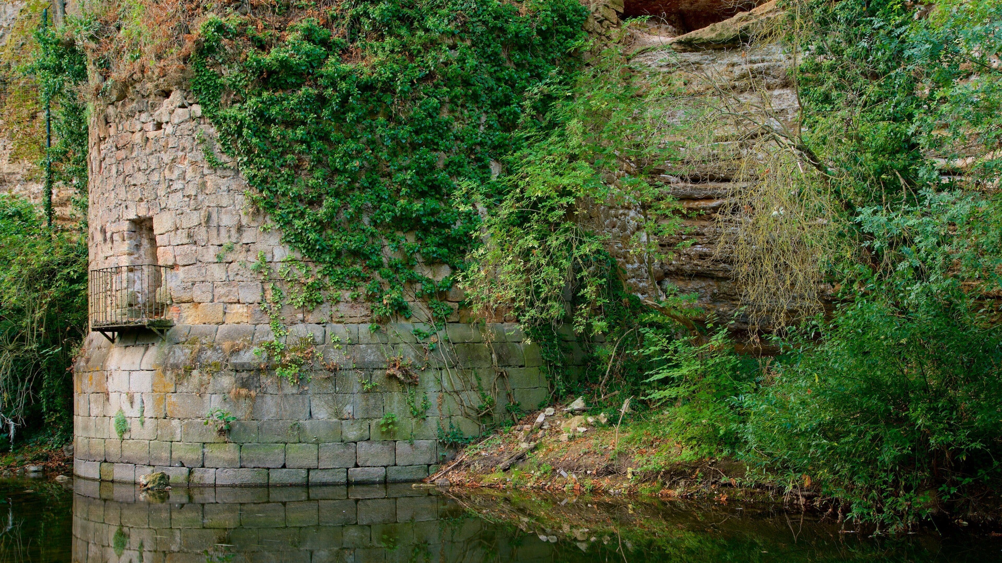 Mirador de la Pradera de San Marcos showing a pond and heritage elements