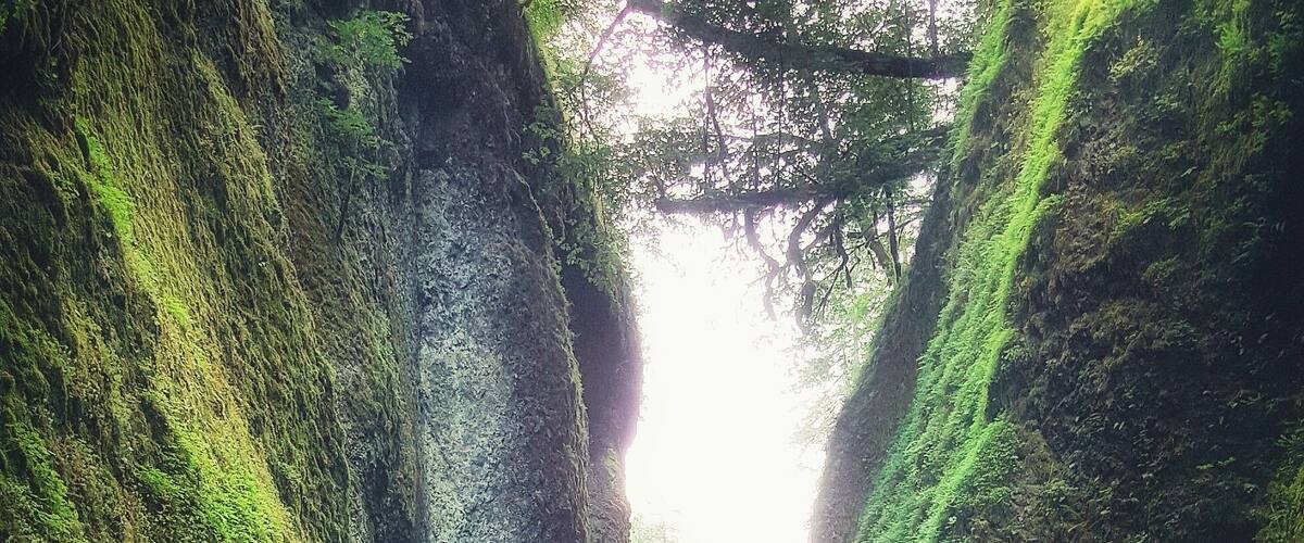 Adventure Awaits! A must see while in Oregon. The Columbia River Gorge is something out of a fairytale... oh... and don't let the chest deep water stop you from enjoying Oneonta Falls! It's the best part! "Just keep swimming, just keep swimming"
#green #colorful #hiking
