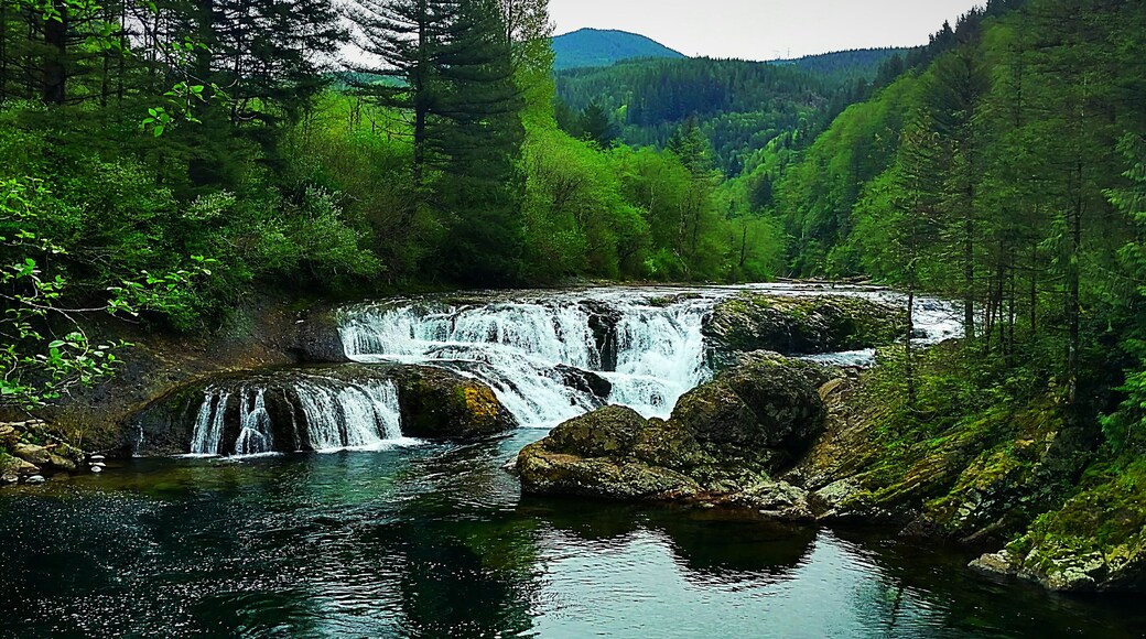 Sometimes the part of the journey unplanned holds the greatest treasure.
#adventure #waterfall #hiking #joy #feedthesoul #exploreoften