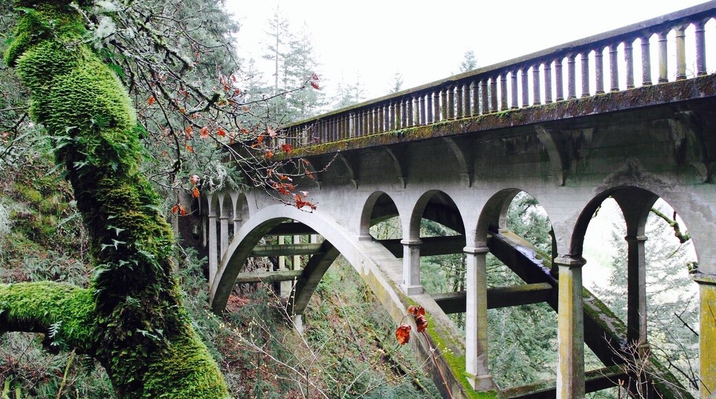 Bridge along Shepherd Dells Fall, Columbia River Gorge...