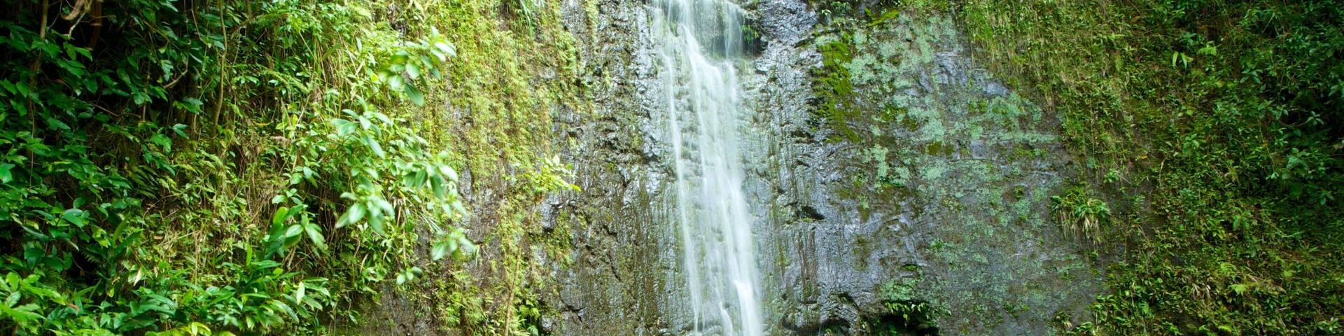 Isla de Oahu ofreciendo vistas de paisajes, un parque y una cascada