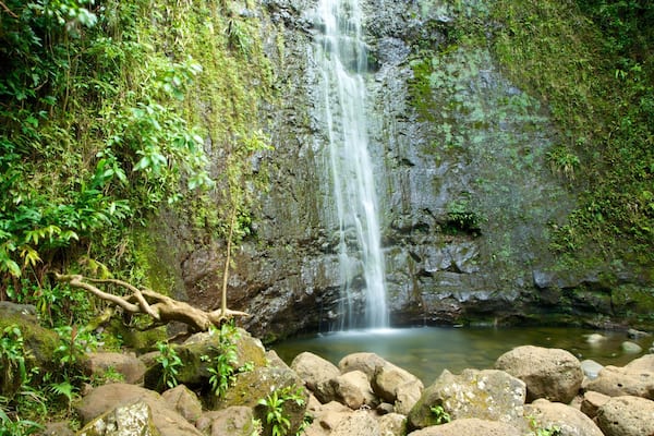 Oahu Island showing a cascade, a garden and landscape views