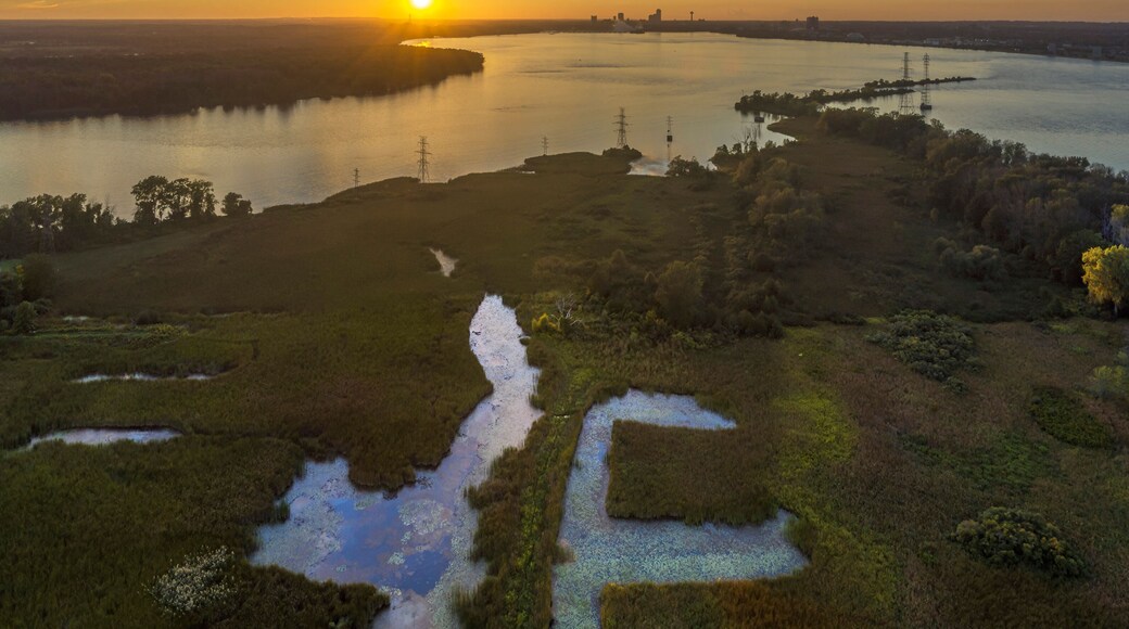 Restored Marsh, Buckhorn Island State Park, Grand Island, New York