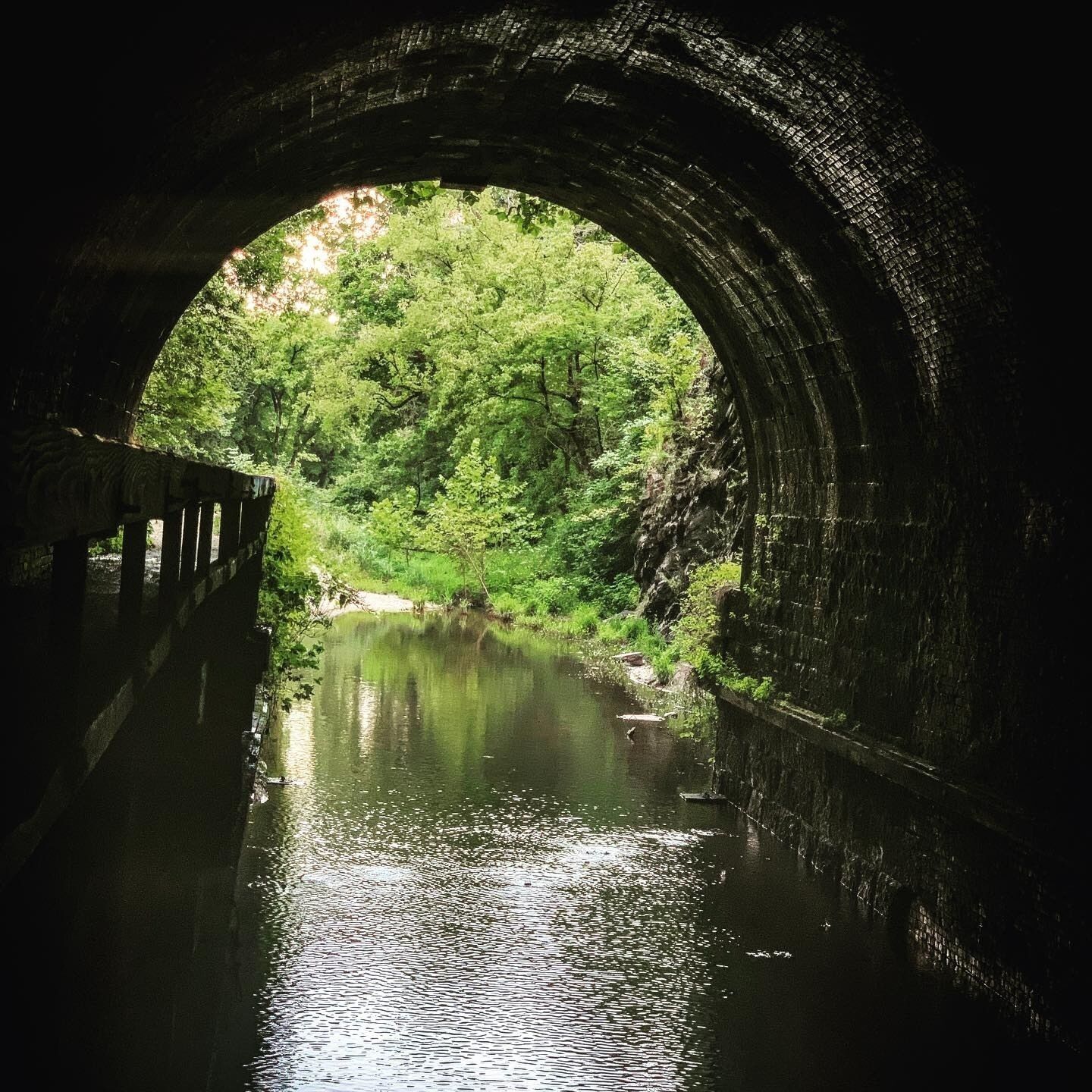 Always keep your eye on the light at the end of the tunnel or you just may trip over your own two feet. 
#adventure