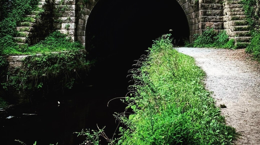 This is a 3,118 foot long canal tunnel that is eerily dark and silent when you’re alone with no flashlight.
#adventure