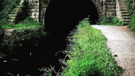This is a 3,118 foot long canal tunnel that is eerily dark and silent when you’re alone with no flashlight.
#adventure
