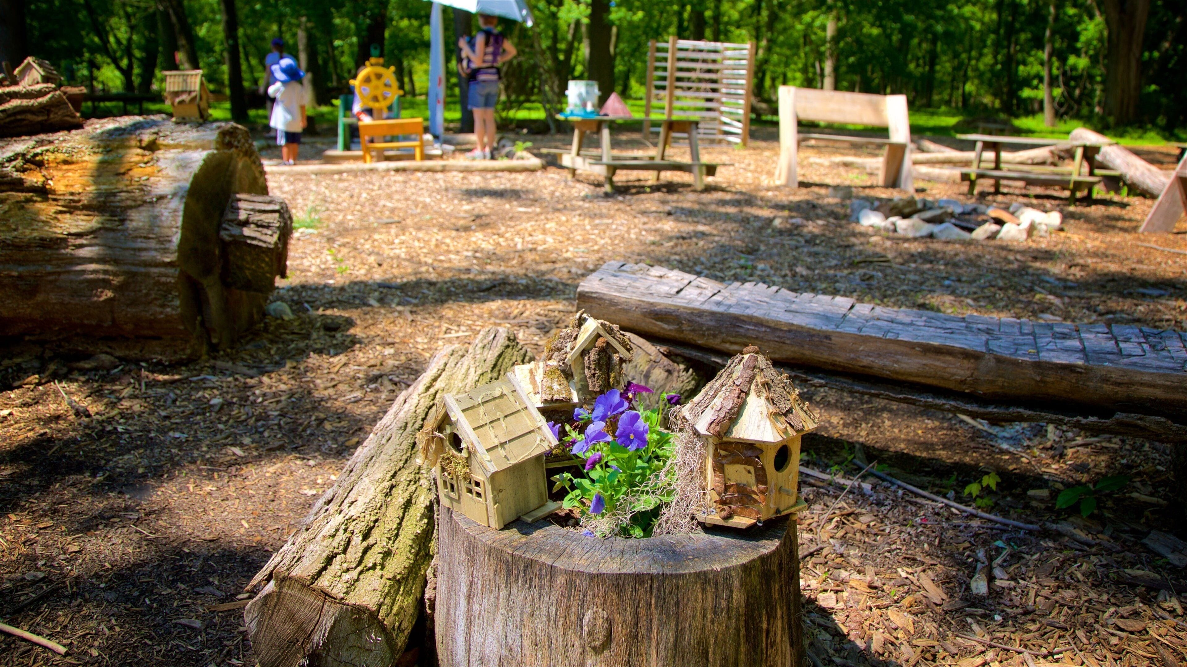 Benjamin Banneker Historical Park & Museum featuring wildflowers and a garden as well as a family