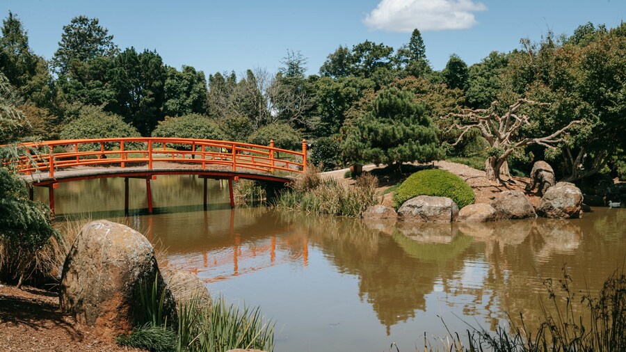 Japanese Gardens featuring a bridge, a park and a pond