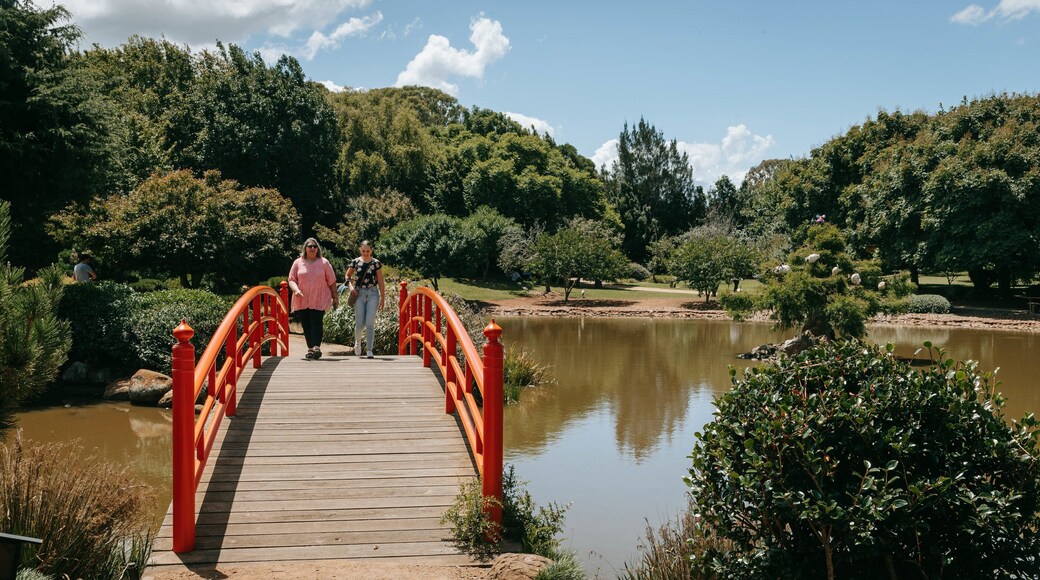 Japanese Gardens featuring a garden, a pond and a bridge