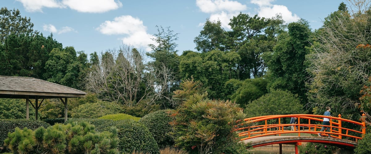 Japanese Gardens featuring a pond, a bridge and a park