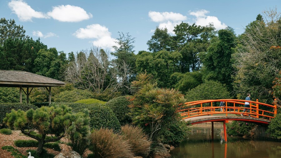 Japanese Gardens featuring a pond, a bridge and a park