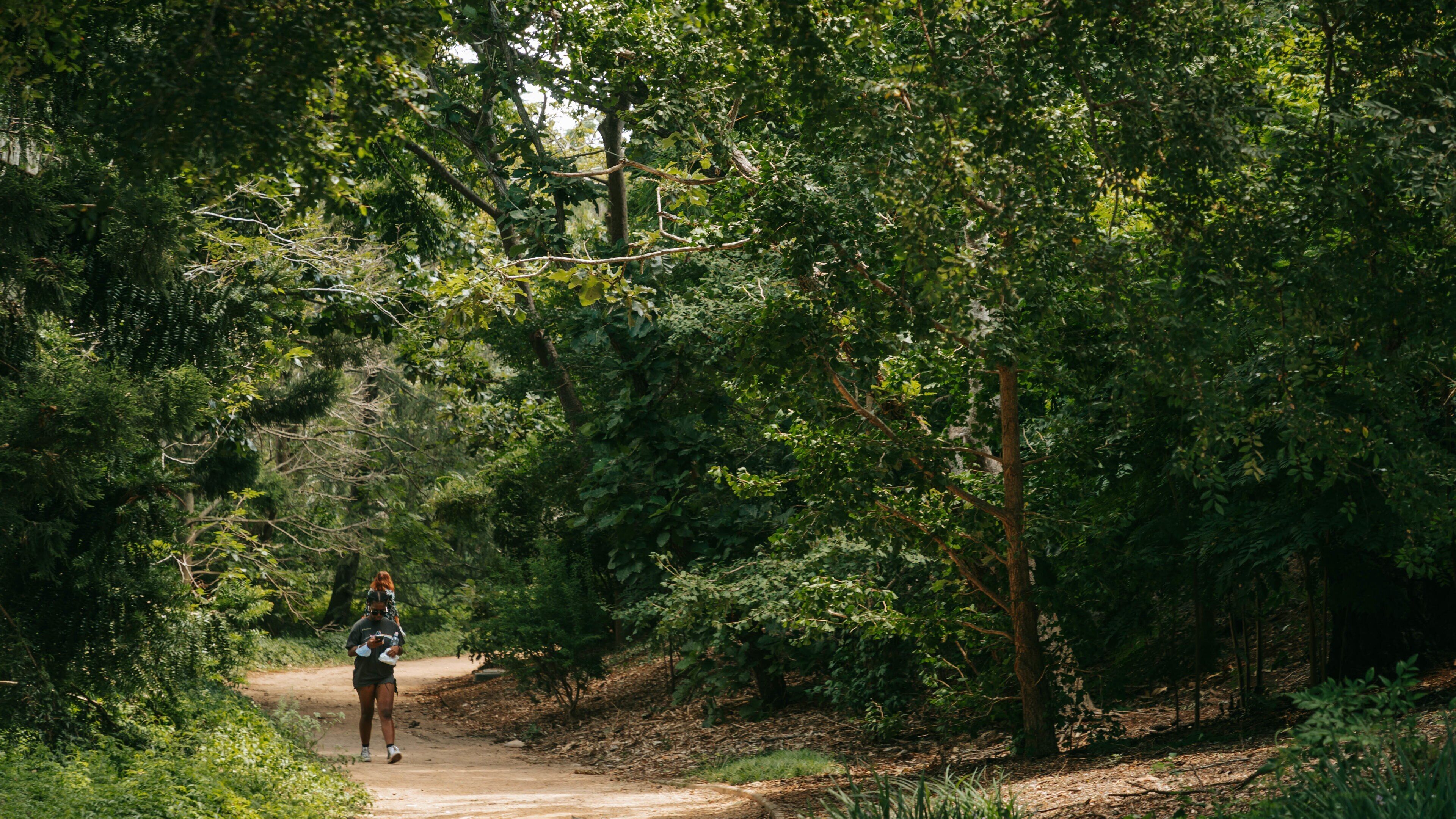 Japanese Gardens featuring a park as well as an individual femail