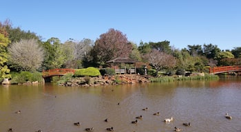 Ju Raku En. It's open from 0700-dusk daily and has a donation tin at the gate for entry. There are chairs, picnic tables and huts scattered around, as well as plenty of rock or grass options to take a seat and ponder life
