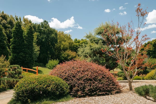 Japanese Gardens showing a garden