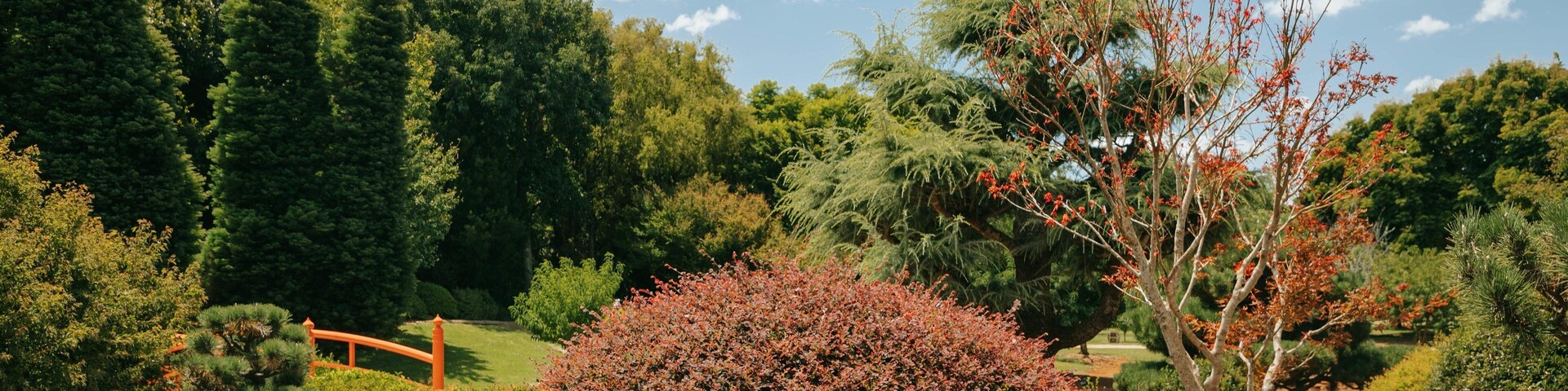 Japanese Gardens showing a garden