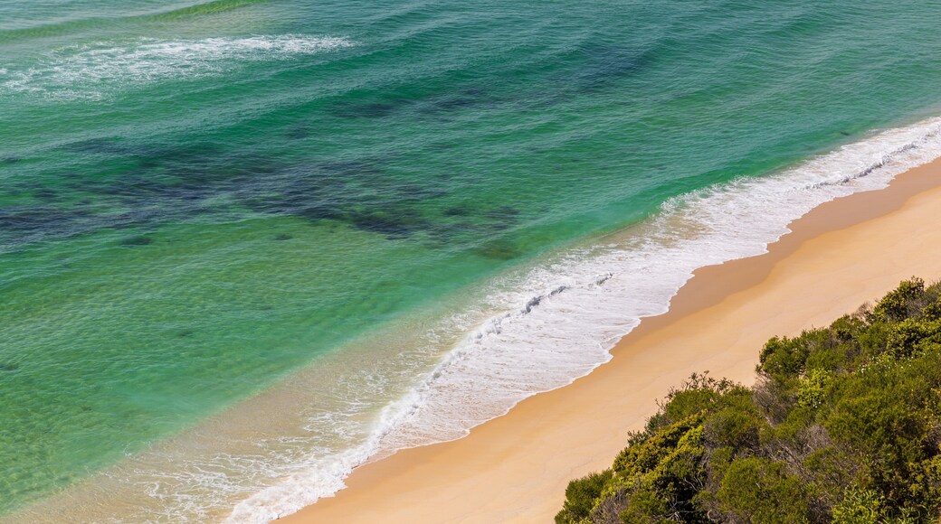 Ben Boyd National Park showing a sandy beach and general coastal views