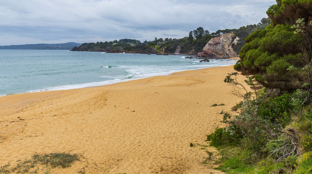 Ben Boyd National Park featuring a beach and general coastal views