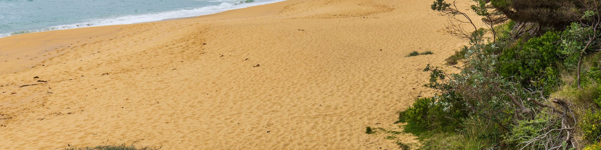 Ben Boyd National Park featuring a beach and general coastal views