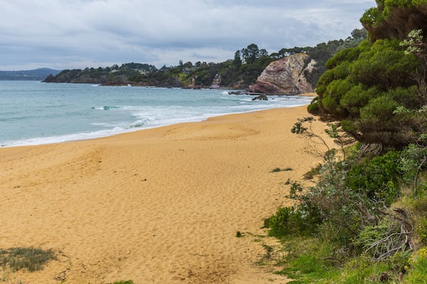 Ben Boyd National Park featuring a beach and general coastal views