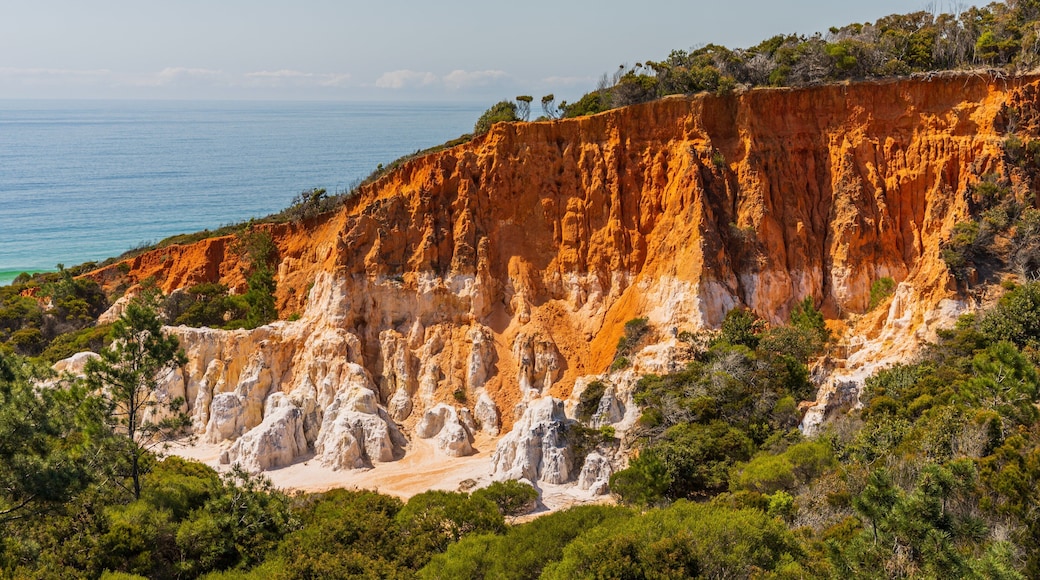 Ben Boyd National Park which includes general coastal views and rocky coastline