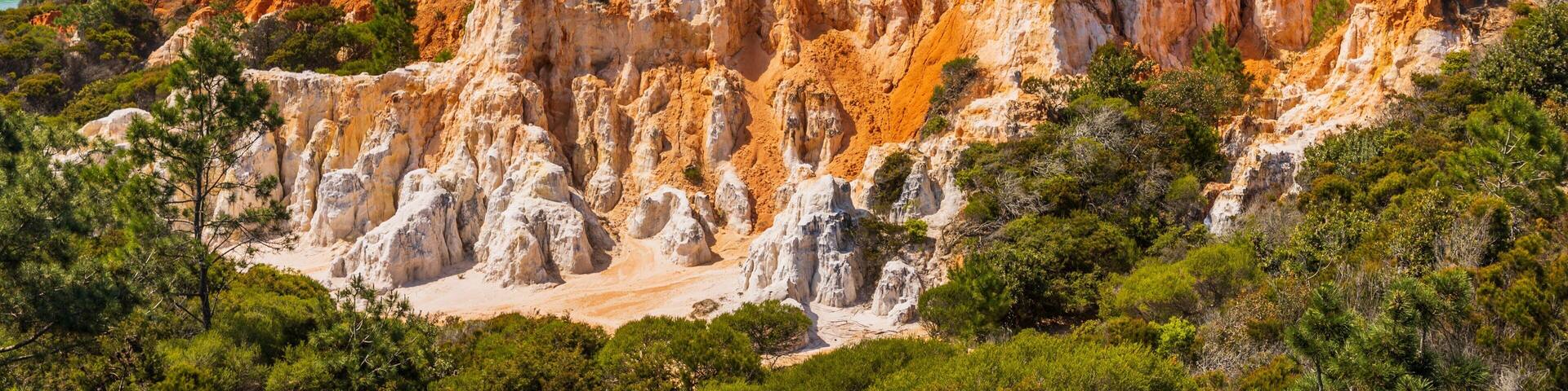 Ben Boyd National Park which includes general coastal views and rocky coastline