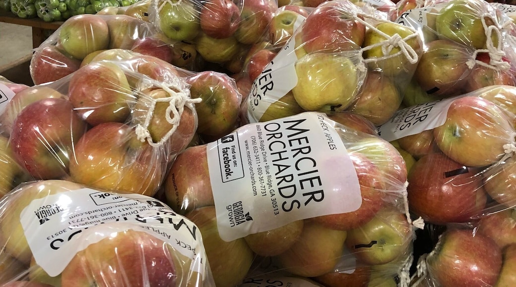 It has expanded every time we visit. And who doesn't enjoy a crunchy North Georgia apple?