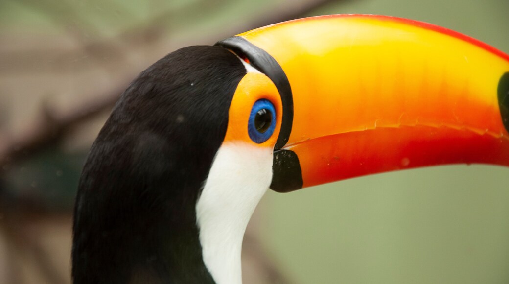 Zoológico de Pomerode