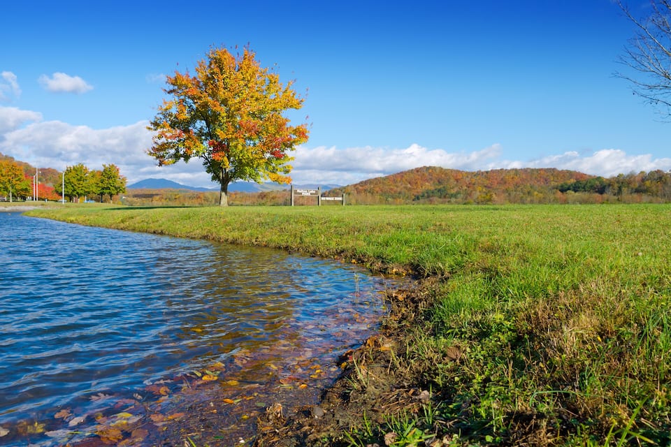 A river with clear water, a tree with autumn leaves, and a grassy field with a mountain in the background.