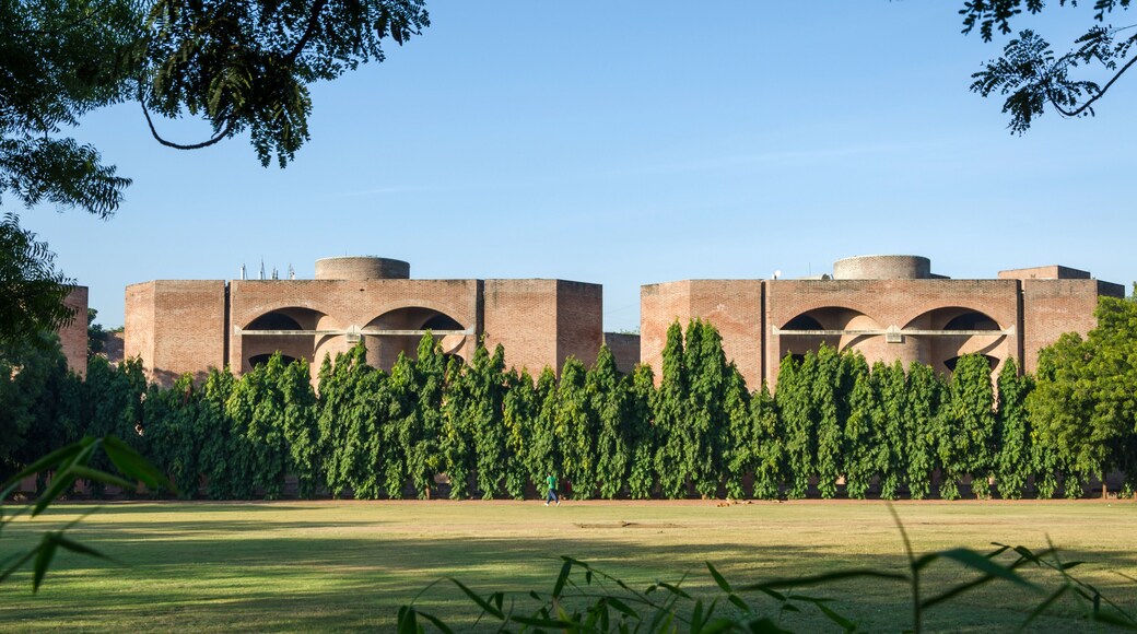 Universidad de Gujarat