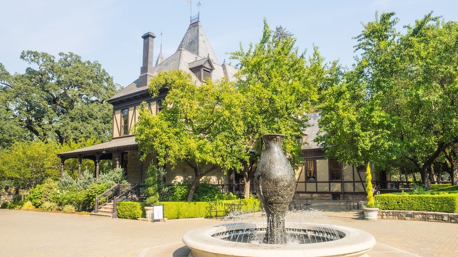 Vườn nho - Xưởng rượu vang Beringer