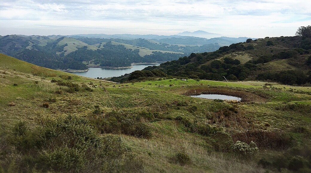 Go on a comfortable hike at Berkeley hill.
