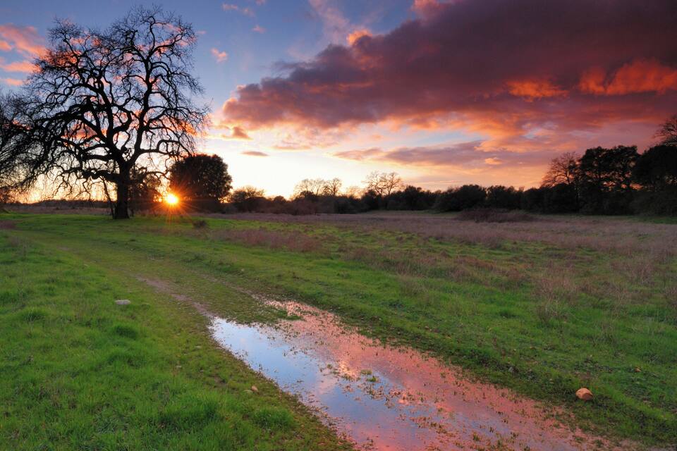 A sunset over a grassy field with a puddle reflecting the sky.