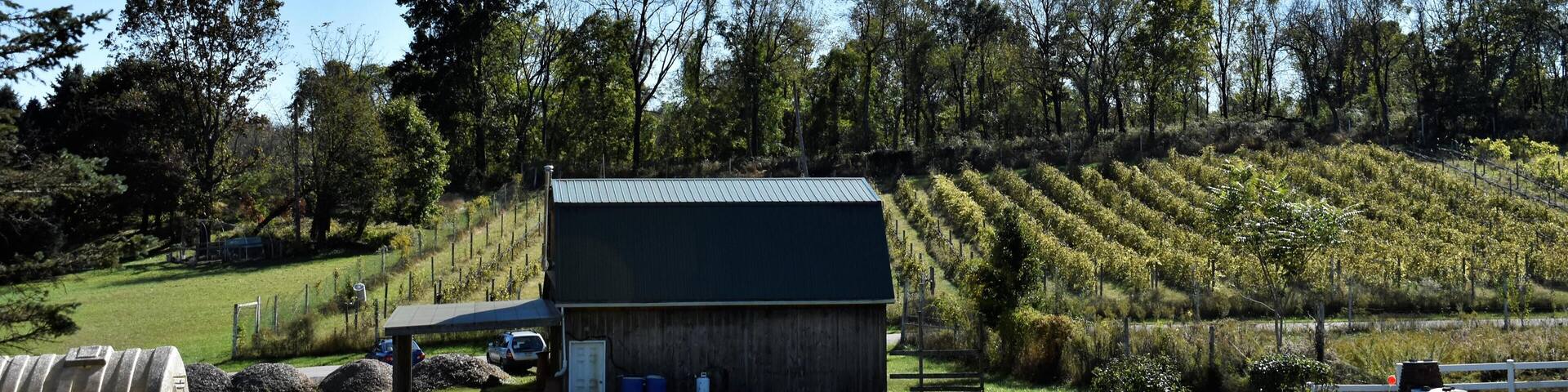 MBC2FE Spring Gate Vineyard and Winery