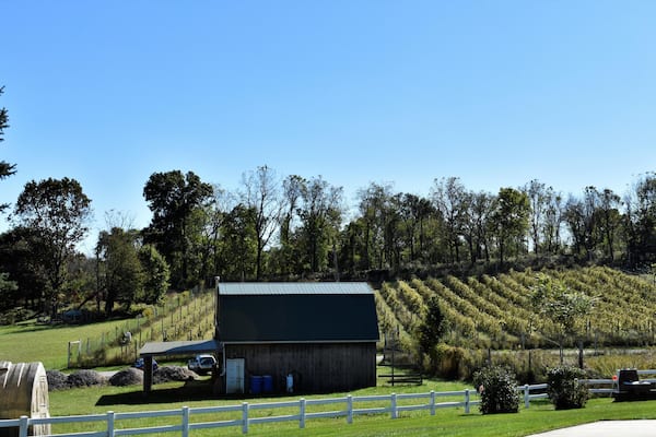 MBC2FE Spring Gate Vineyard and Winery