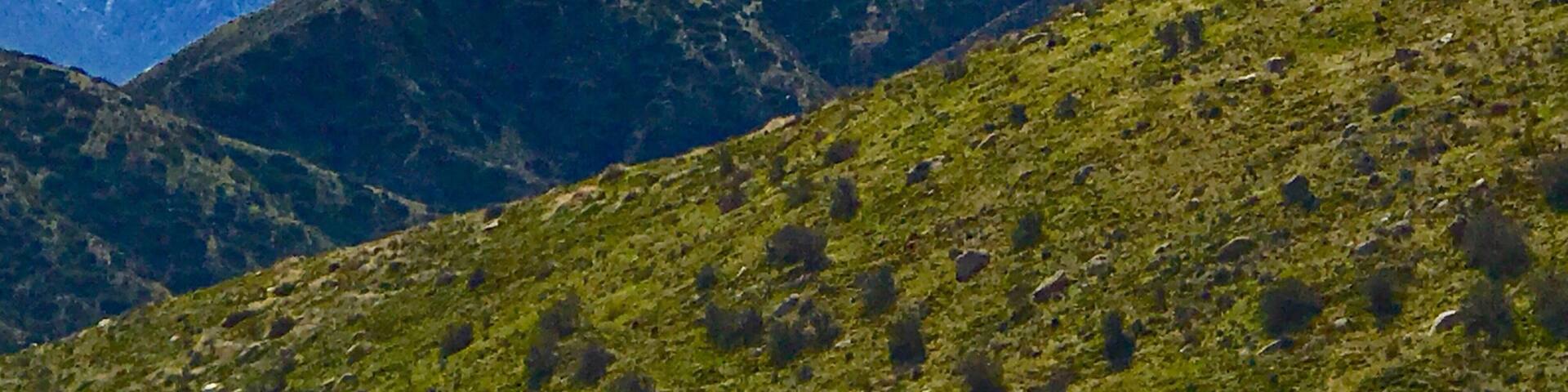 I hiked in the Whitewater Wilderness today and the vastness and serenity were palpable... beautiful