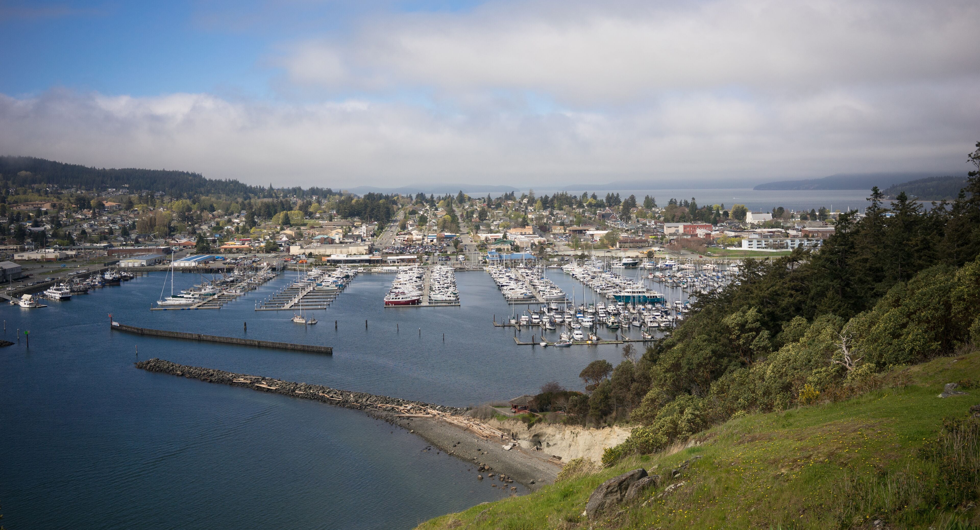 Cap Sante Marina Overlook Puget Sound Anacortes Washington