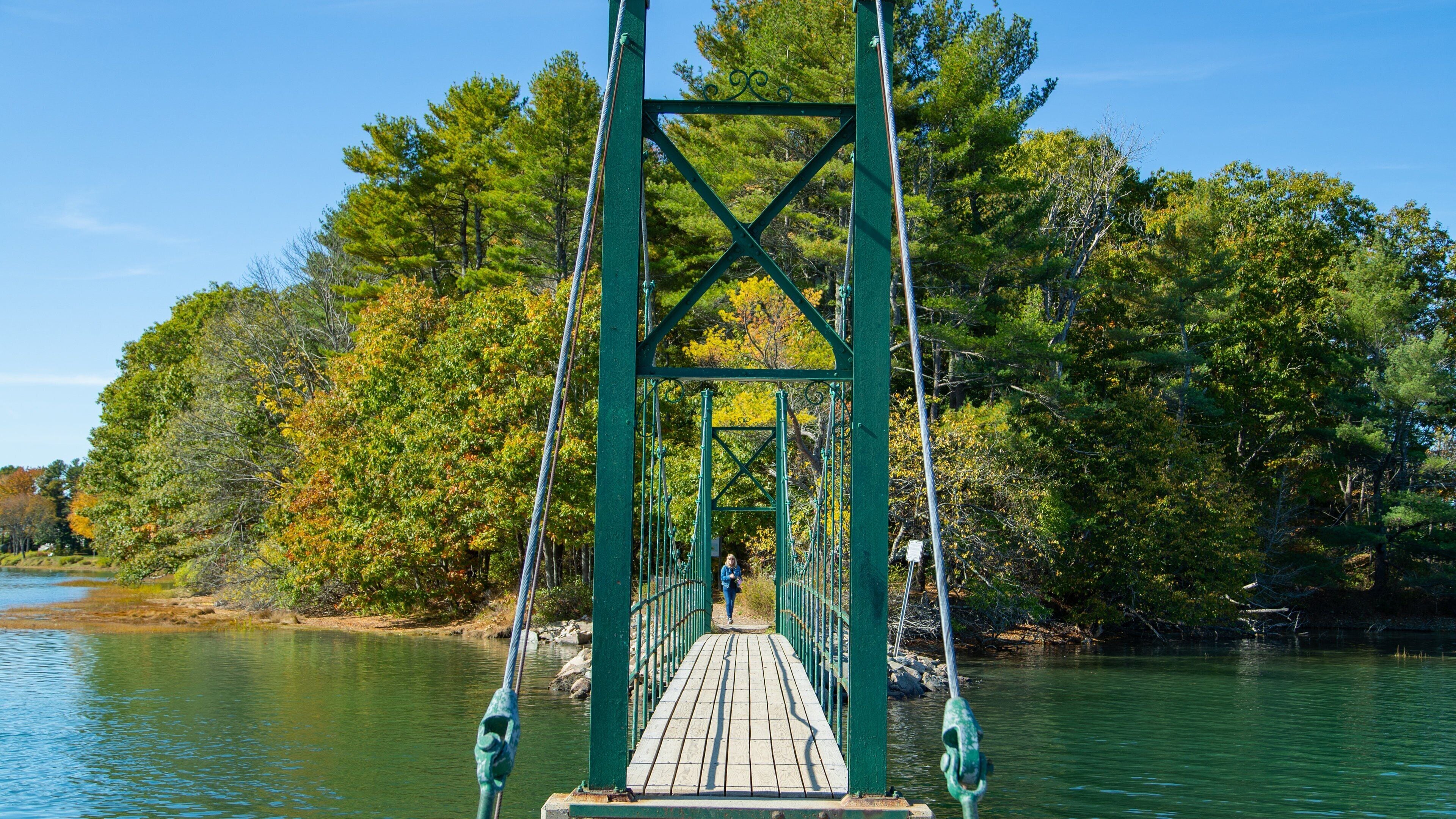 Wiggly Bridge and Steedman Woods