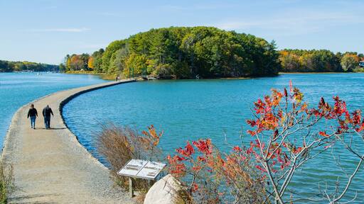 Wiggly Bridge and Steedman Woods