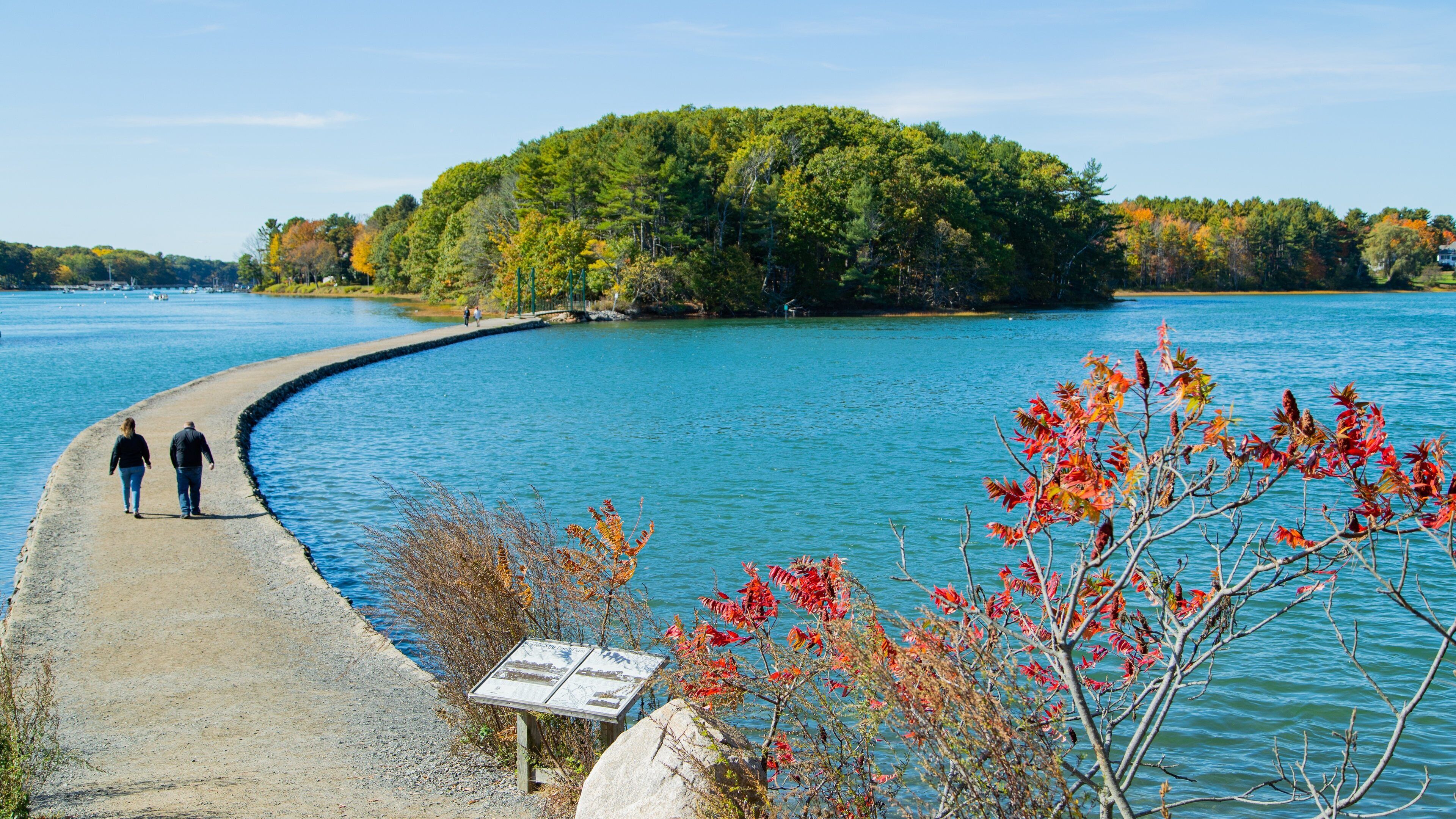 A curved shoreline with a rocky path, a small island with dense trees, and a signboard.