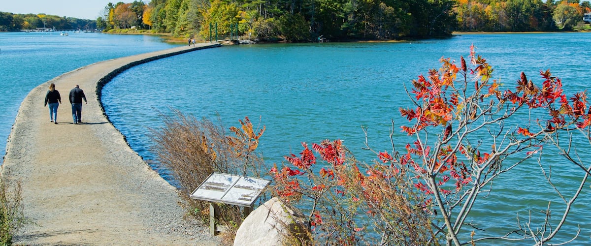 A curved shoreline with a rocky path, a small island with dense trees, and a signboard.