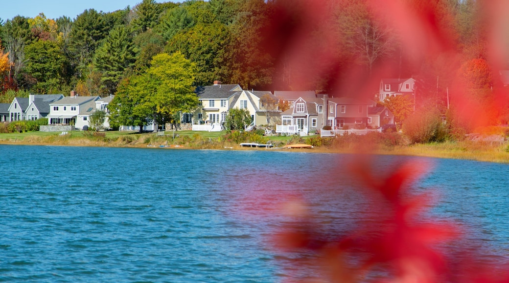 Wiggly Bridge and Steedman Woods