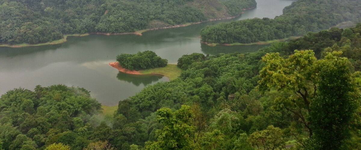 A river winding through a densely forested landscape with multiple islands and a misty atmosphere.