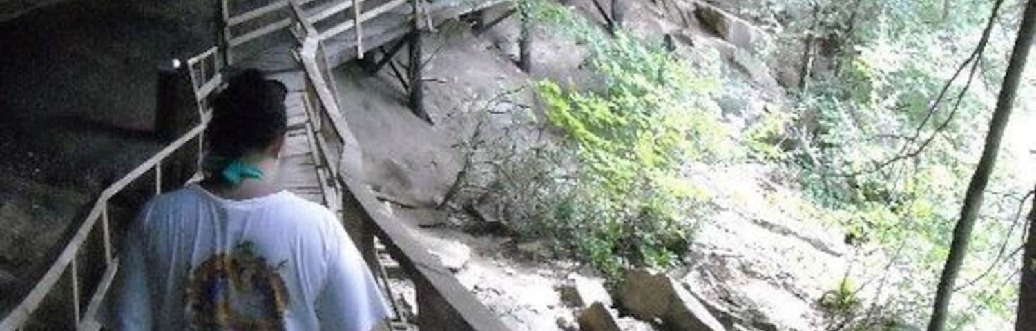 One of Audra state parks walking trails. Great swimming opportunity also in the flowing river. Swimming hole as well as some Rapids...