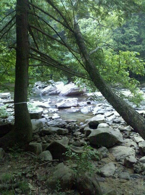 Riverside camping at Audra! Great swimming!