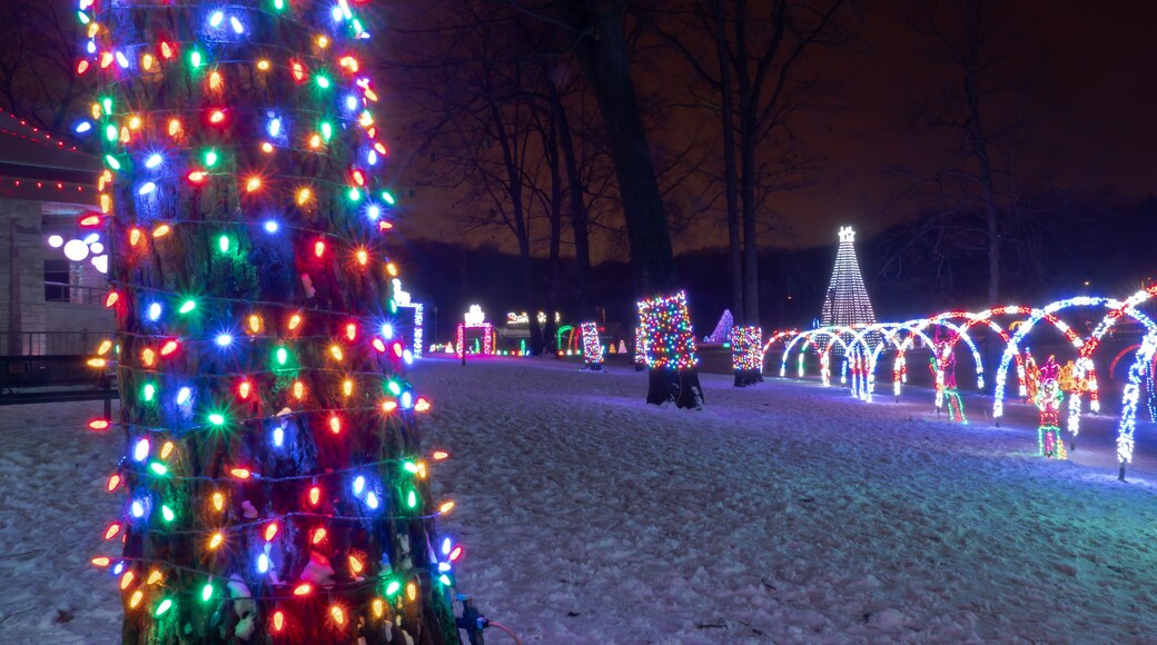 Multicolored LED Christmas string lights wrap the trunk of a tree with arched walkways in the background at a holiday lights festival display.