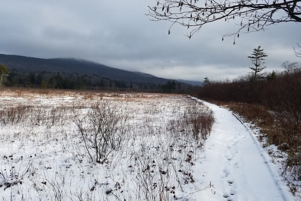 A snow-covered path winding through a field with sparse vegetation and a backdrop of mountains and trees.